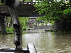 zinさんの近江八幡の水郷風景の投稿写真2
