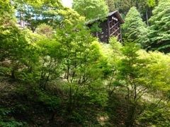 }Cann̞ws̐Xւ̓eʐ^1