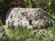 ����������̒��j���̓��e�ʐ^4