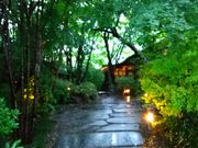 T̐[Jԉ ԓ̐X̓eʐ^1