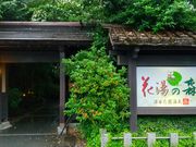 T̐[Jԉ ԓ̐X̓eʐ^2