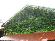 mick񂳂̐΃mX͑YƂ̓eʐ^3