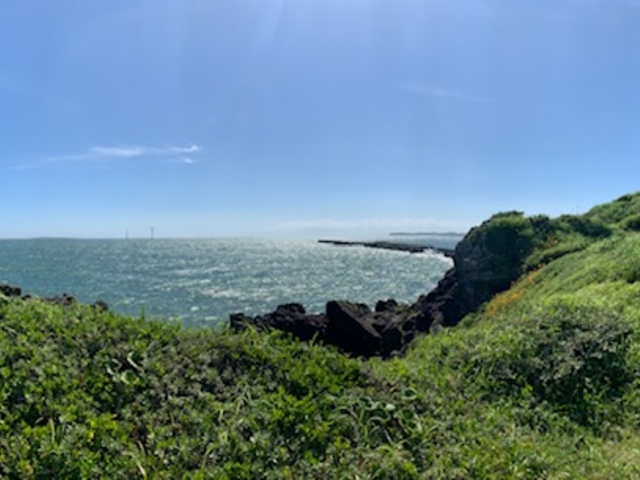 �閧�̏ꏊ����̐�i�I_�C�̉Ɓ@�߂�