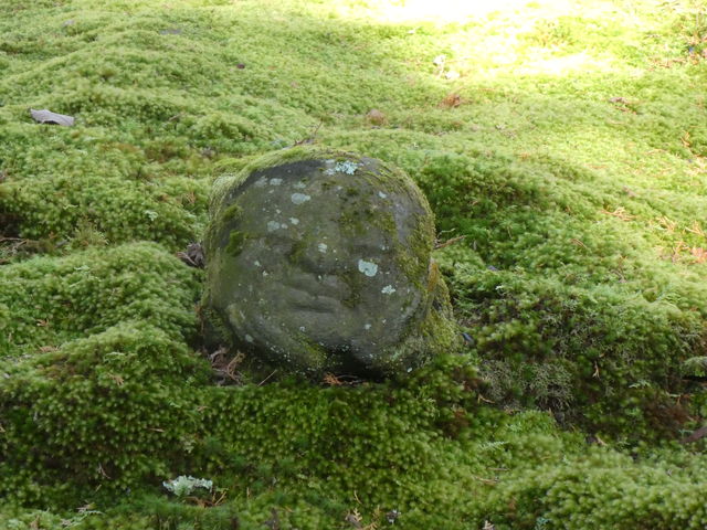 �ۂƕ�_���s�匴�O��@