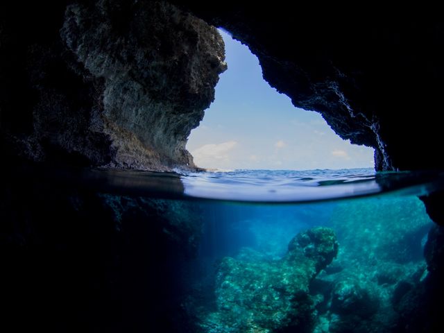 �̓��A_GT�_�C�o�[�Y���i�Ǖ���