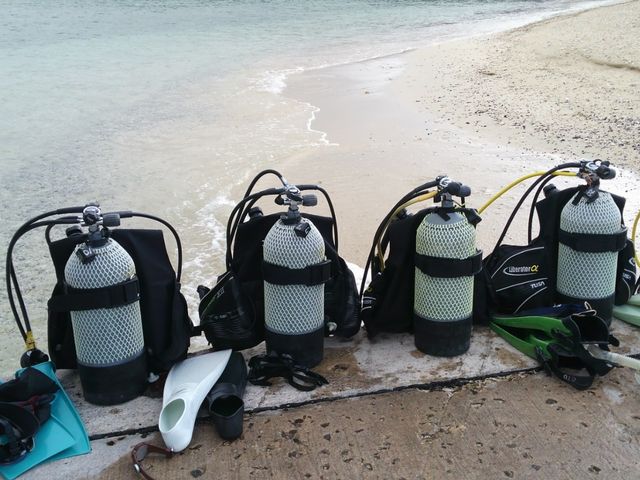 ���_GT�_�C�o�[�Y���i�Ǖ���