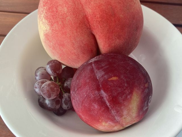 ���H�̓��߂��Ⴍ������������B�f���E�F�A�͂܂��������������݂����Ŏ_���ς������ł����B_�É��b�ʉ�