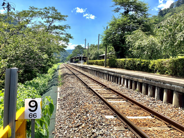 �w�ɋ߂��̓��ݐ؂肩��ꖇ�ł��B_��ՎR