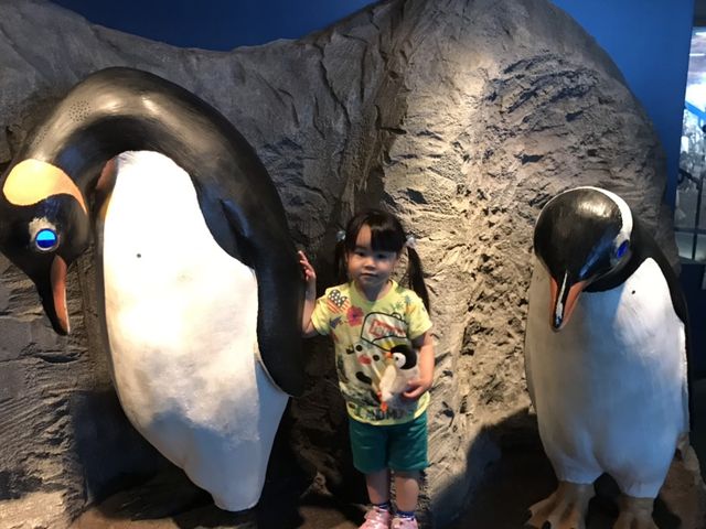ペンギンと可愛い女の子_下関市立しものせき水族館・海響館