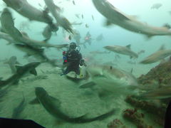 ܂݂܂݂̃_CrOVbvKIAORAւ̓eʐ^1