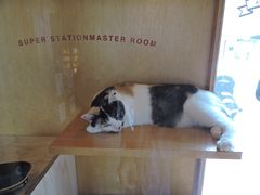 ͒jN̋Muwi܃~[WA jւ̓eʐ^1