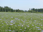 yosshỹR^jAO̓eʐ^2