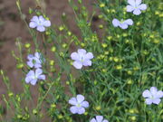 yosshỹR^jAO̓eʐ^5