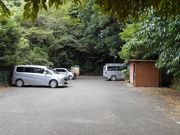 Lemon salt̋̑̓eʐ^5