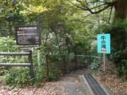 Lemon salt̋̑̓eʐ^6