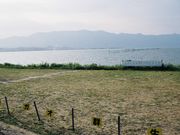 񂳂̃n}qKǏQn̓eʐ^7