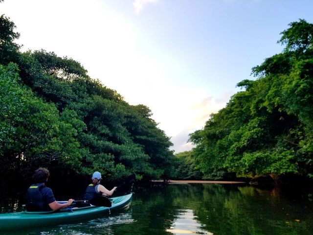 DȎԁBBB
mȂԂɑfGȎʐ^BĂĂ܂I_OHCUSΊ_