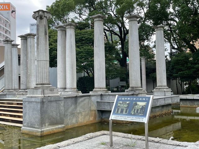 ����_�V�_��������