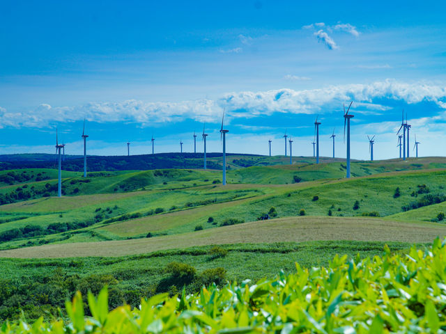 �Y��ȑ�n�ɖ����̕��ԁA�Y�傳�̒��Ɍ�����ے����镗�i�Ɋ�������_�@�J�u��