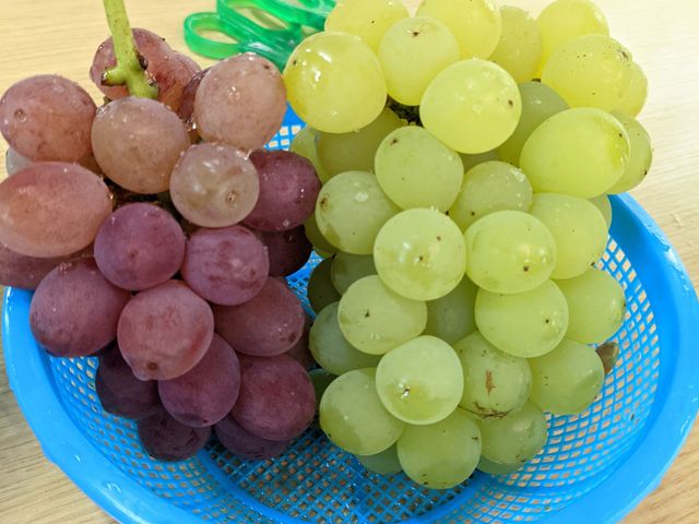 �Â��Ĕ������������ł��B_�V���_��@���}�i�J�ʉ�