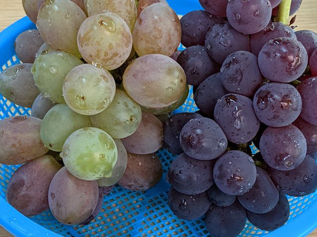 �F��ȕi�킪�H�ׂ��āA�������������ł��B_�V���_��@���}�i�J�ʉ�