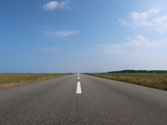 yosshỹGTkJԉ̓eʐ^3