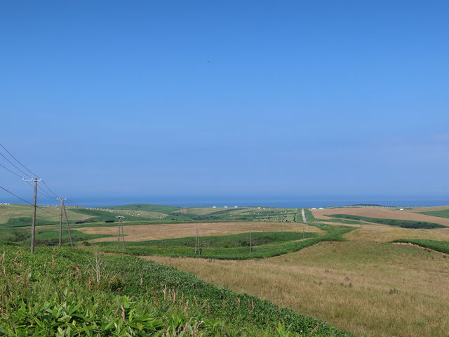 �L������_�@�J�u��