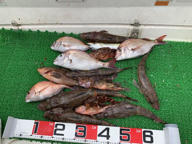 �މ�_�V���D���ƂЂ�