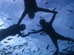 ` ꑍAEghAcA[X̎ʐ^1