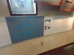 �Ђ낳��̖��ΊC���勴�N���[�Y�ւ̓��e�ʐ^1