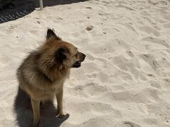 肳̕΃_CjO-Perchill-ւ̓eʐ^1