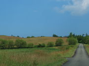 yosshỹnCW̋u̓eʐ^2