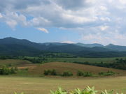 yosshỹnCW̋u̓eʐ^3