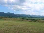 yosshỹnCW̋u̓eʐ^4