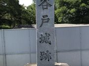 Shota����̒J�ˏ�Ղ̓��e�ʐ^1