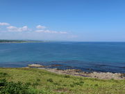 yosshy̓̏oW]䃉E[i̓eʐ^4