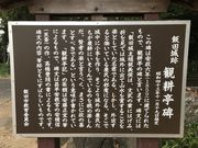 Shota̔ѓc隬̓eʐ^1