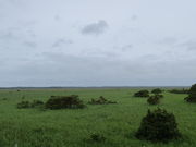 yosshy̖yrW^[Z^[̓eʐ^3