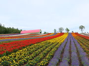 yosshy̎lGʂ̋u̓eʐ^2