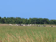 yosshỹGTkJԉ̓eʐ^1