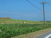 yosshy̏@Ju˂̓eʐ^1