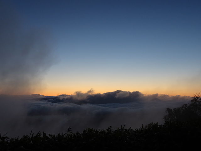 ���̏u�ԁA�_�C����ԃN���A��_�Õʓ�