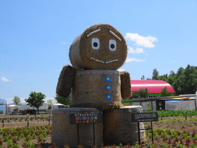 ���[���N_�l�G�ʂ̋u
