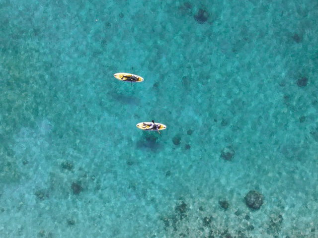 �C���ƂĂ��Y��ł����I�I�I_TarzanWorld