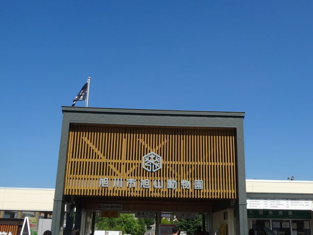 ���R�������@����
�@_���R������