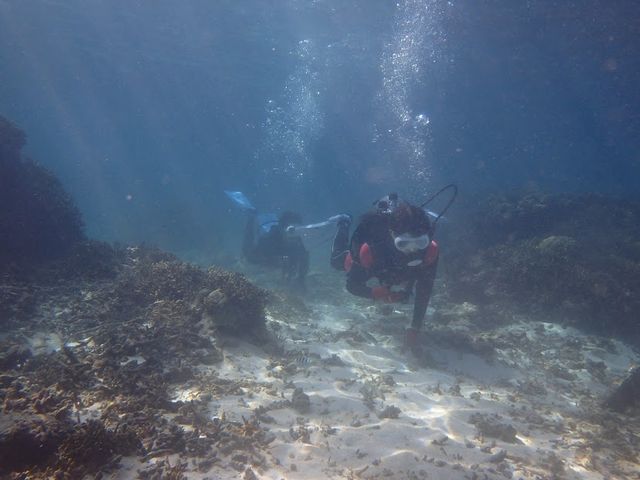 �ʐ^�����ς��B���Ă���܂����I_BLUE ALOHA�{�Ó�