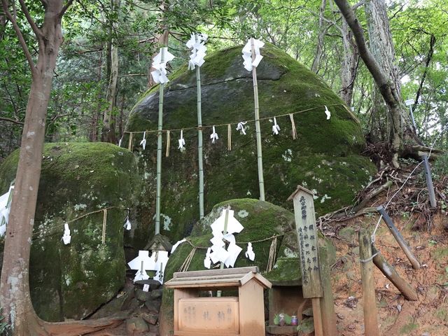 ���{�̕v�w��_�{��_��