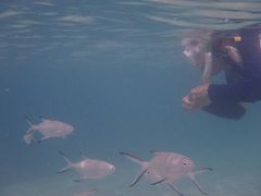 ƂNature Guide Double Rainbow lC`[KCh@_uC{[ւ̓eʐ^1