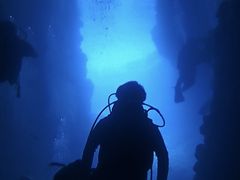 Ƃ񂳂̐̓A@Dive@ւ̓eʐ^1