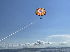 ݁[񂳂FACEւ̓eʐ^1